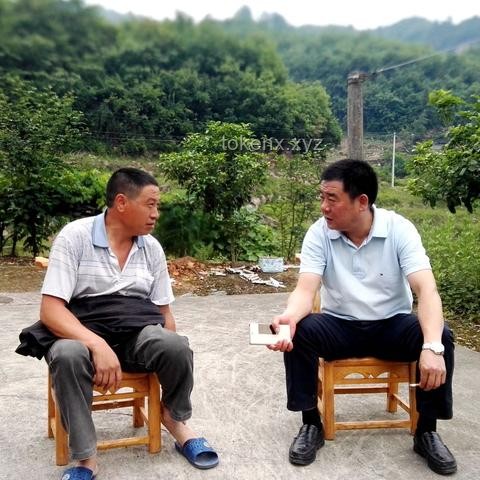 山东一村免费为适龄青年分100㎡楼房：实施策略与可持续发展方案